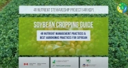 SOYBEAN CROPPING GUIDE